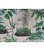 Tissu en lin  terrarium