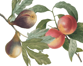 Fruitlove linnen dienblad