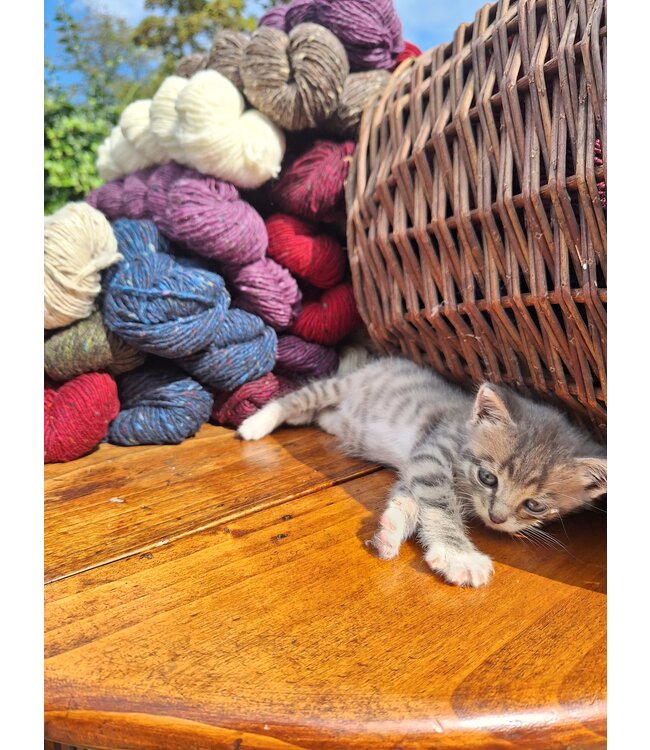 aran craft Pure Irish wool knitting wool