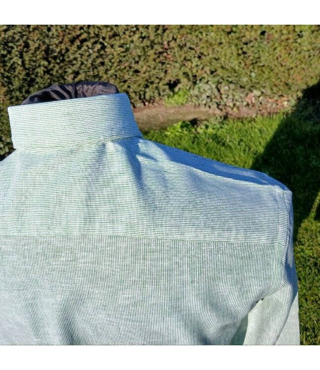 Long-sleeved shirt in green stripes
