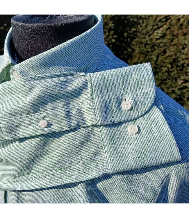 Long-sleeved shirt in green stripes