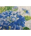 Tissu lin Hortensia bleu