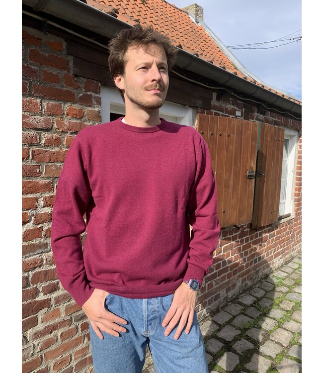 Men's round neck jumper, 100% merino wool, RASPBERRY