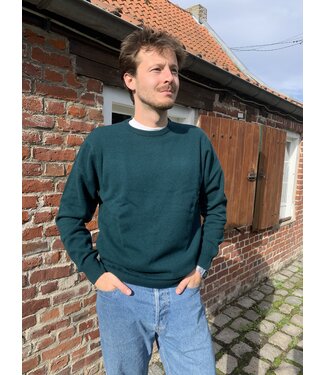 Men's round neck jumper, 100% merino wool BOTTLE