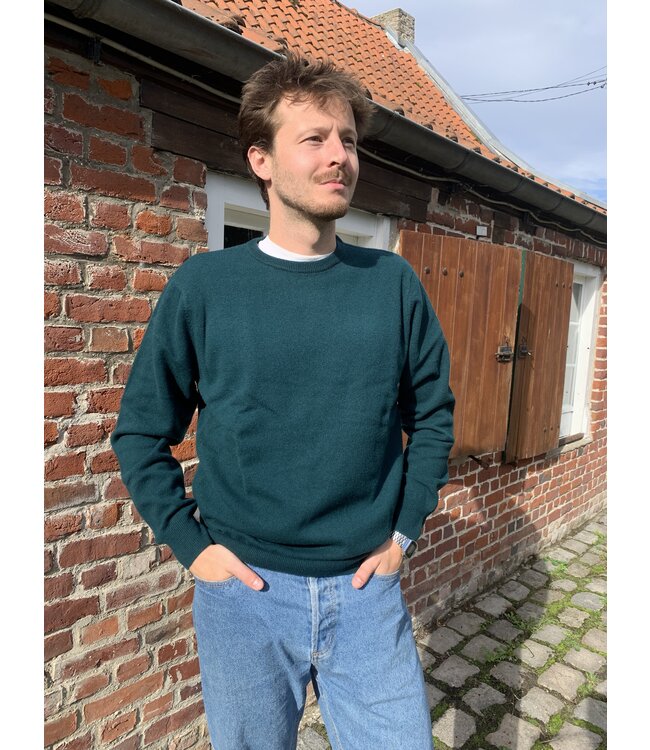 Men's round neck jumper, 100% merino wool BOTTLE