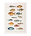 Linen tea towel ‘La mer pesci’