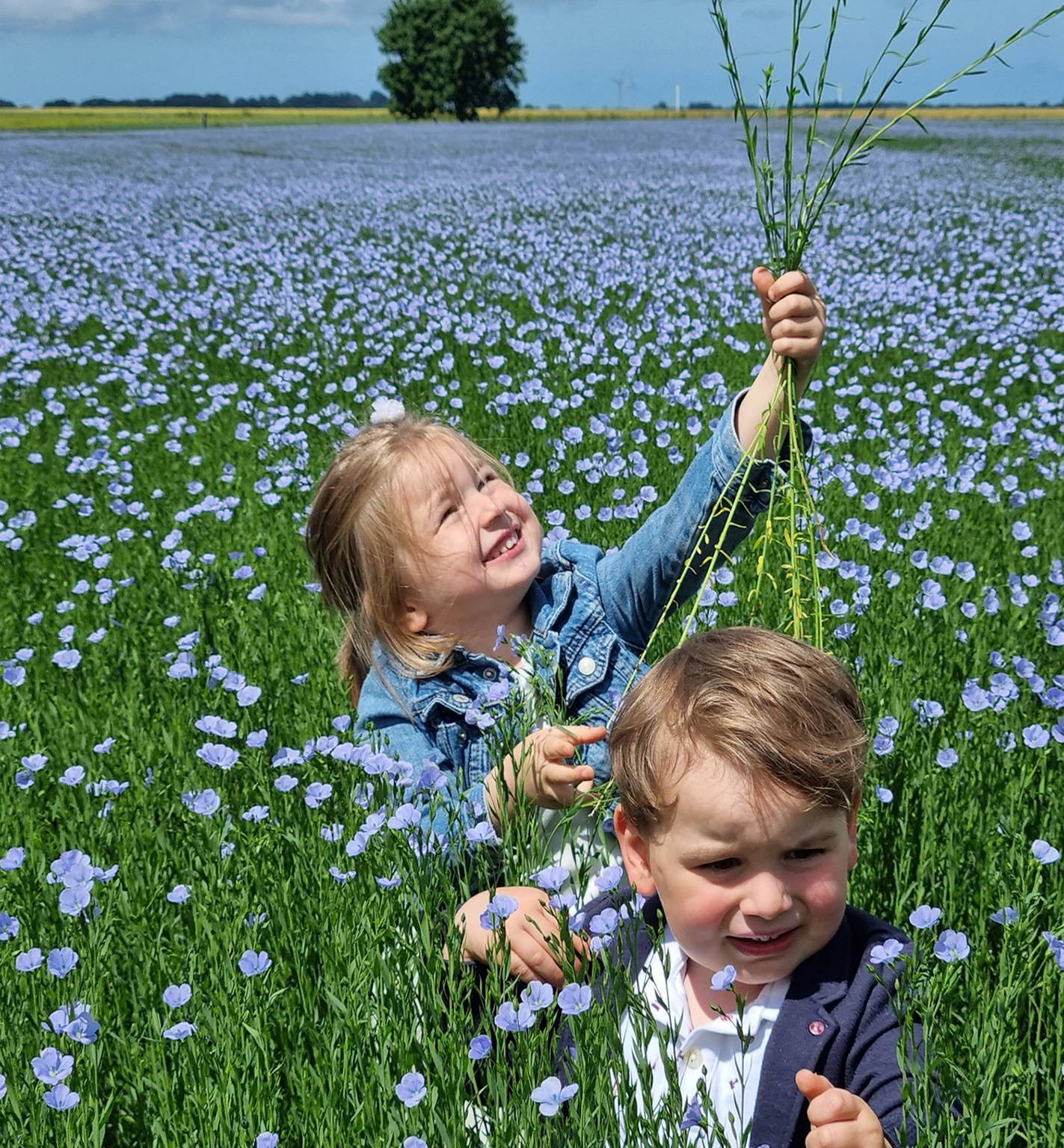 Le Lin est notre ADN !