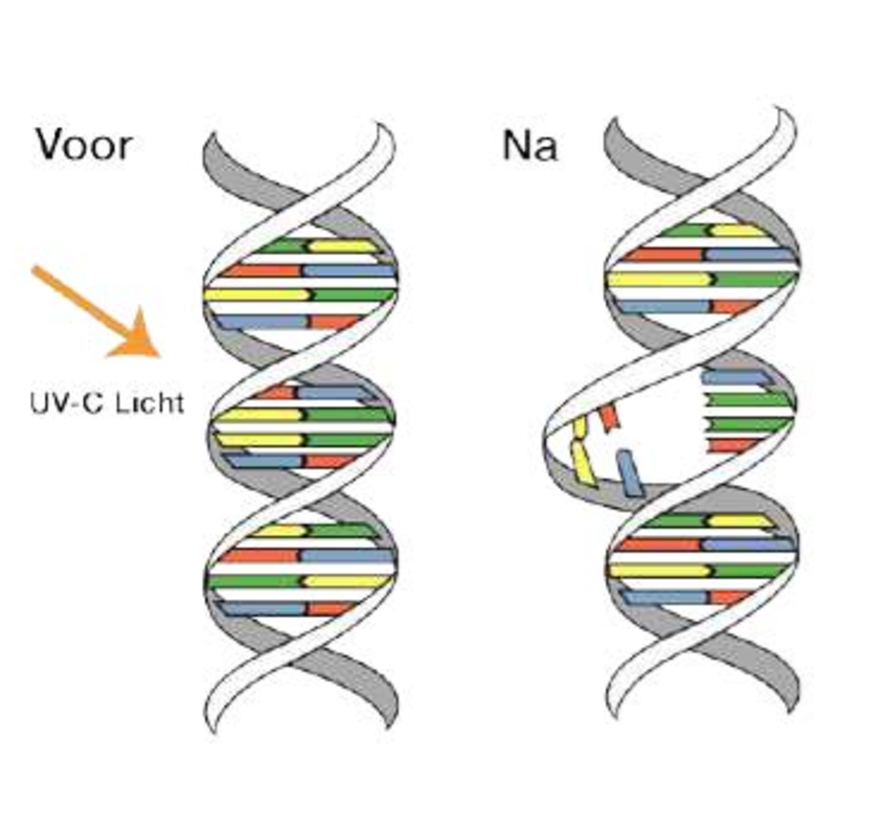 Medi 8 Luftreiniger mit UV-C-Technologie