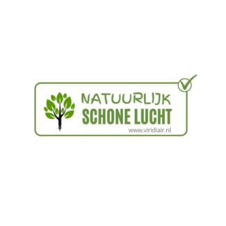 Green XL Green XL Reinigungsset – 3 biologisch abbaubare Reiniger für Innenraum, Boden und Sanitär