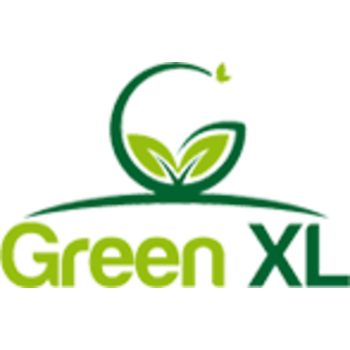 Grün XL