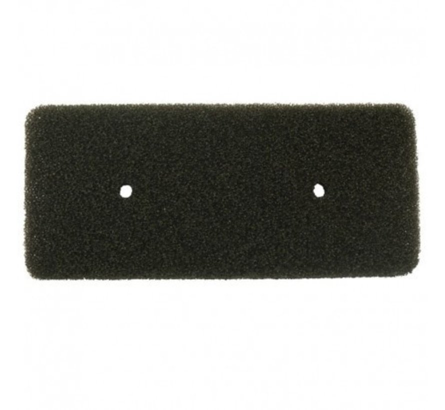 DC62-00376A Samsung Foam filter