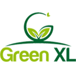 Green XL