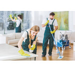 Probiotic cleaning products from Green XL - Natural cleaning