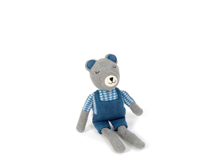 Ativiteitenknuffel Teddy de blauwe beer