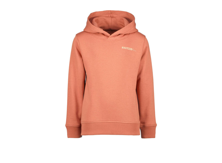 Hoodie Newfield