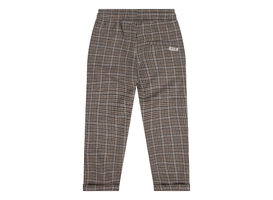 Jongens Broek Fancy Check