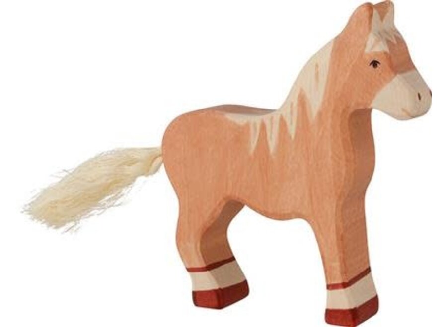 Paard