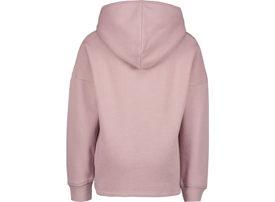 Jongens Hoodie Djurre