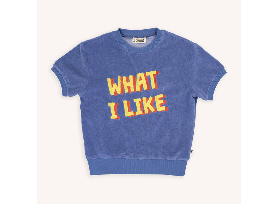 What I Like - sweater short sleeve with embroidery