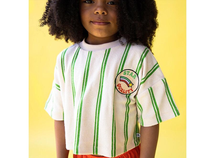 Stripes green - cropped shirt with embroidery