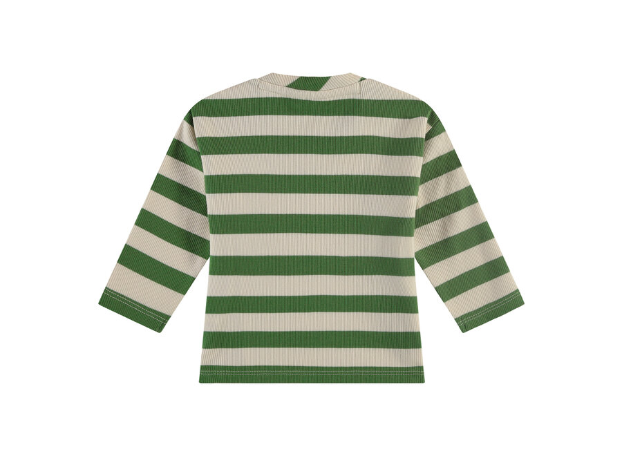 NWB24227623 - Baby Jongens Longsleeve Streep