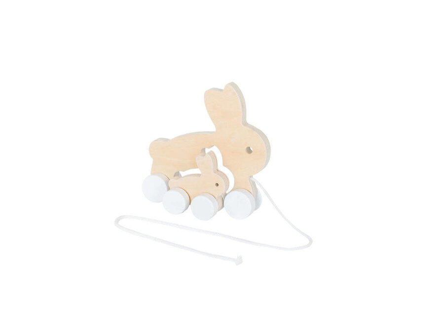 Eco Friendly Rabbit Pulltoy