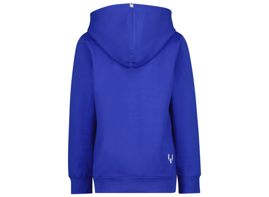 Logo-hoody