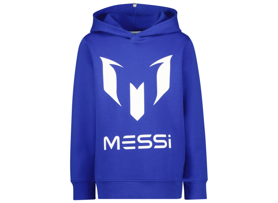 Logo-hoody