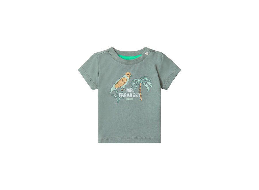 Boys Tee Benwood short sleeve