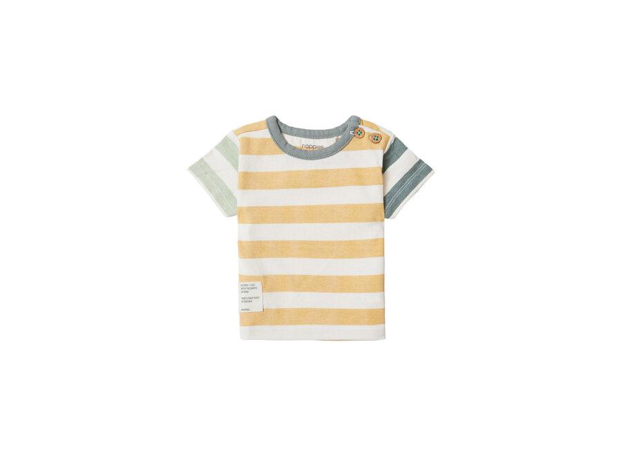 Boys Tee Balsam Lake short sleeve stripe