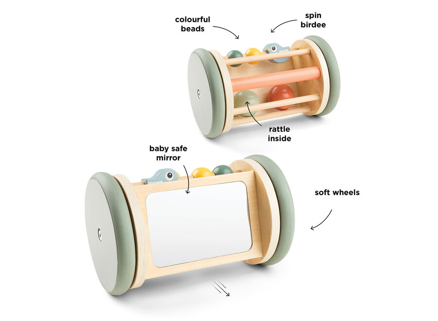 Rolling activity mirror Birdee