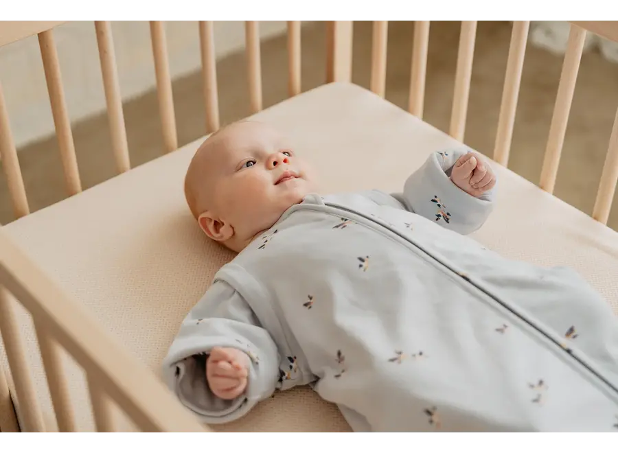 Slaapzak Newborn 0-6 maand - chirping birds