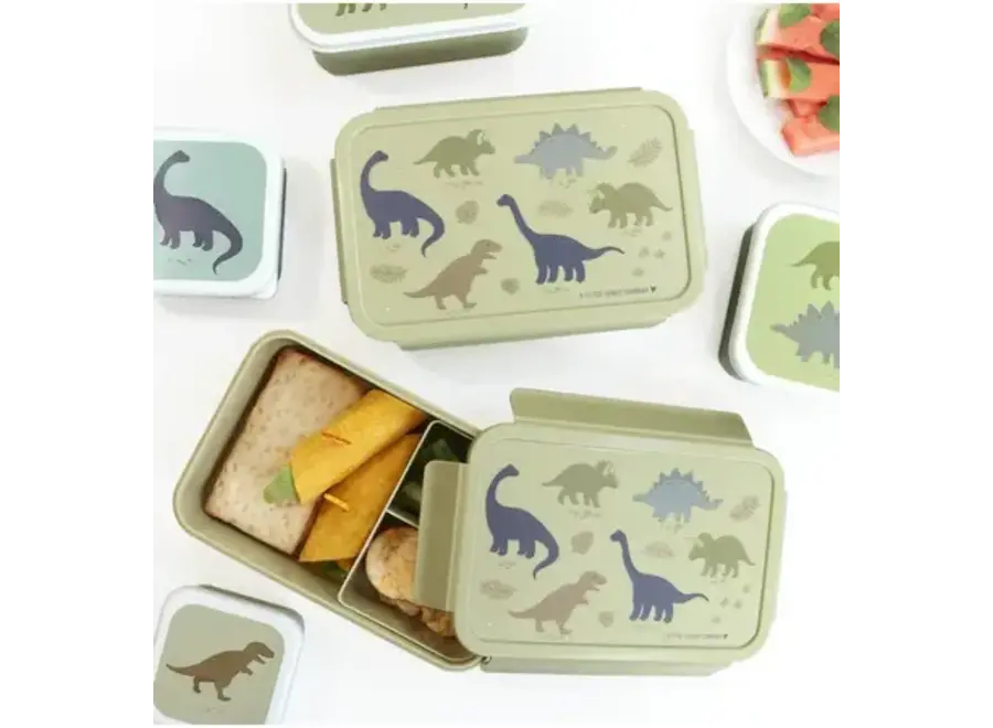 Bento lunchbox: Dinosaurussen