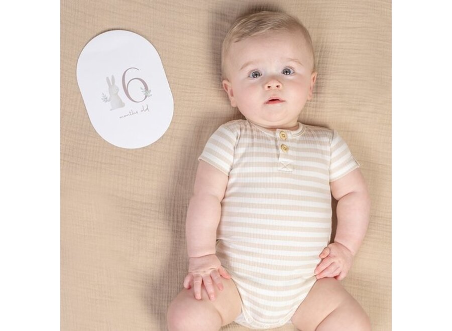 Baby Bunny - Mijlpaalkaarten 'mijn eerste jaar'