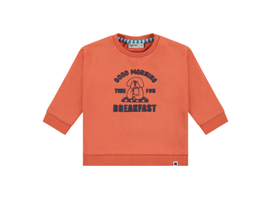 boys sweatshirt, BBE24427403