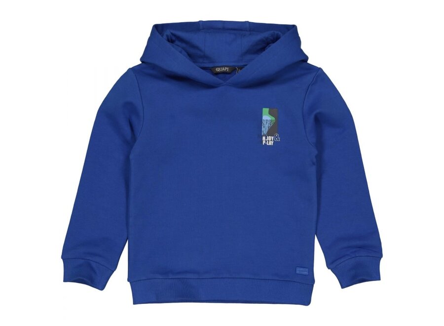 Jongens Hoodie Dex