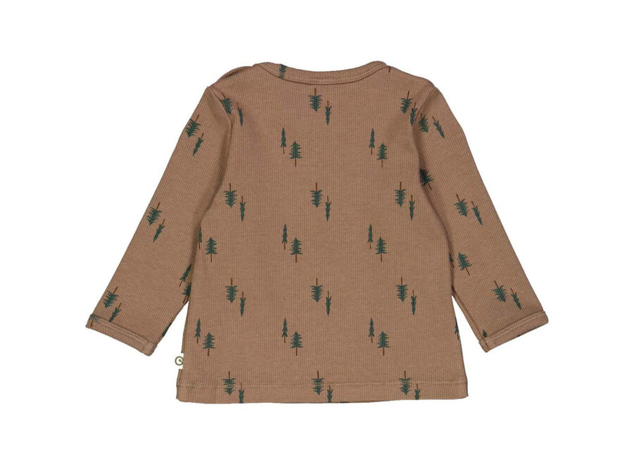 Baby Jongens Longsleeve Pine