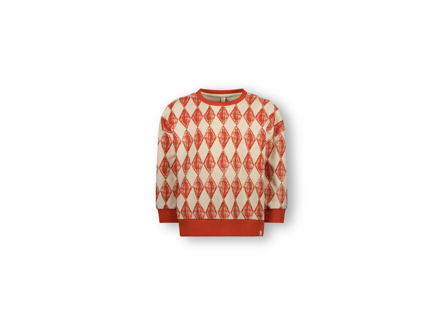 Bowe The New Chapter sweater