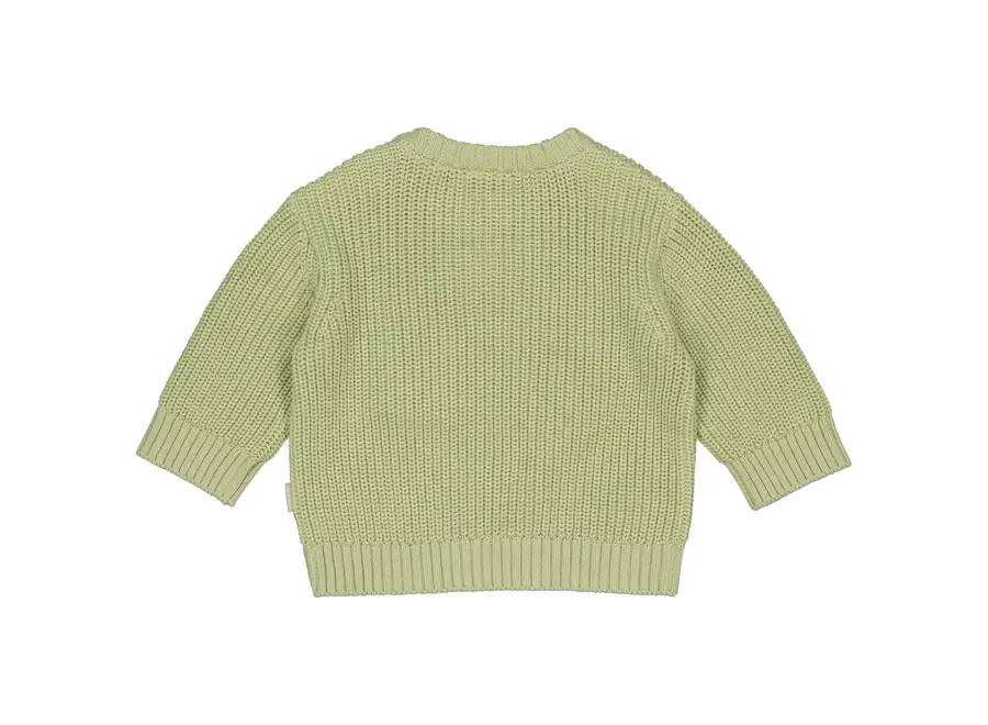 Baby Jongens Trui Floris