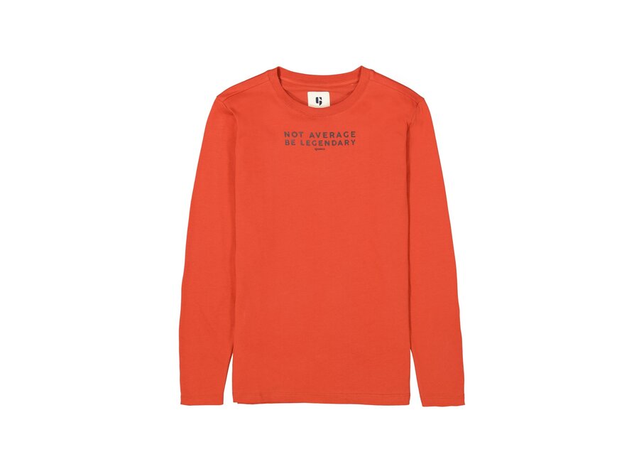 Jongens longsleeve U43400