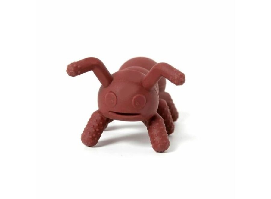 Poppable Teether - Ant- icipation