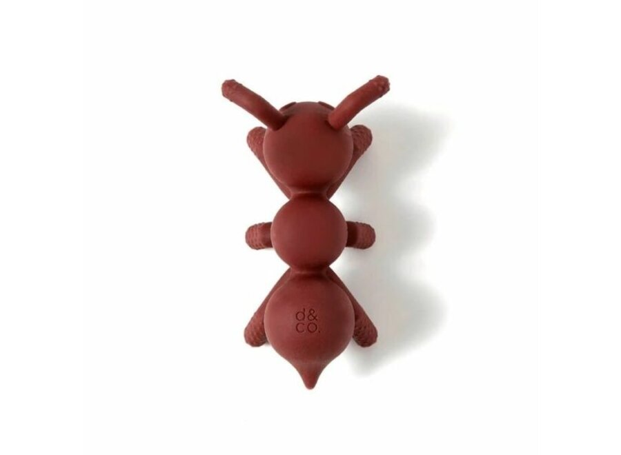 Poppable Teether - Ant- icipation