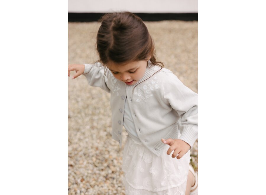 LS252SOFIA