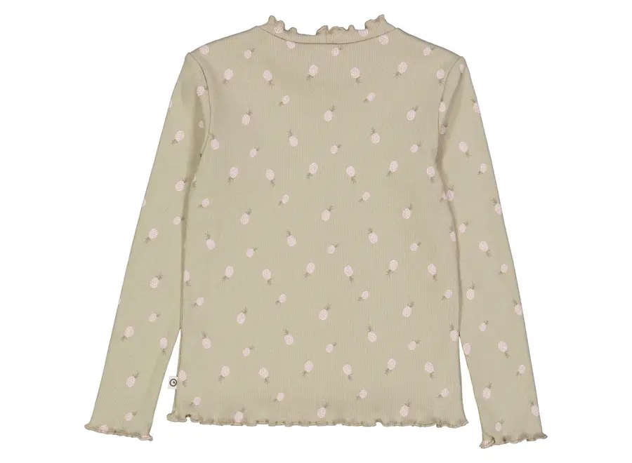 Baby Meisjes Longsleeve Pineapple