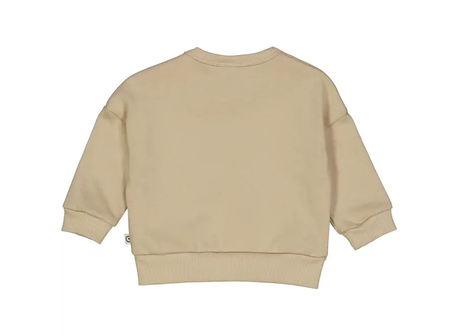 Jongens Sweater Safari