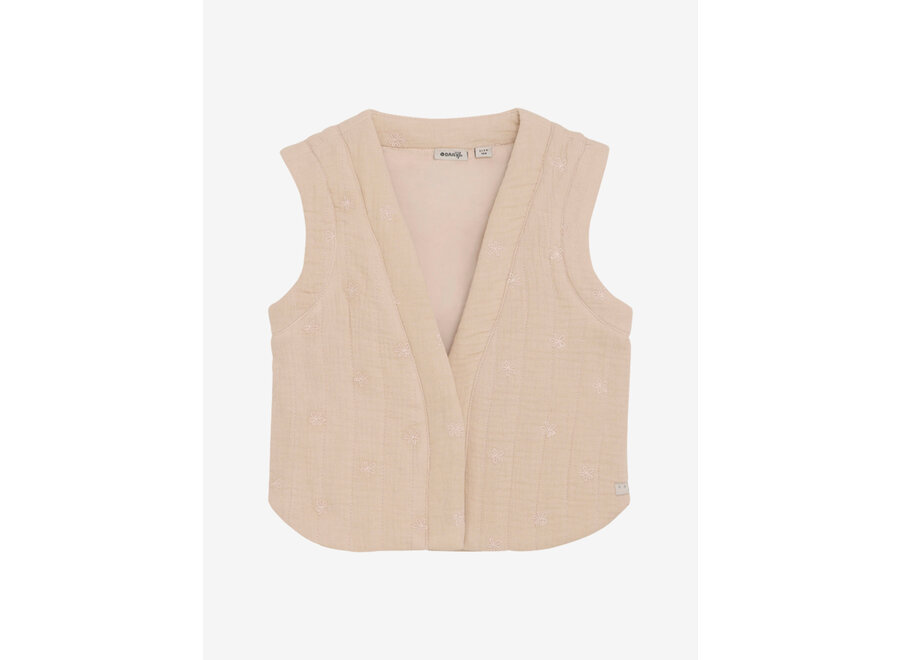 Daily Seven - Waistcoat Embroidery