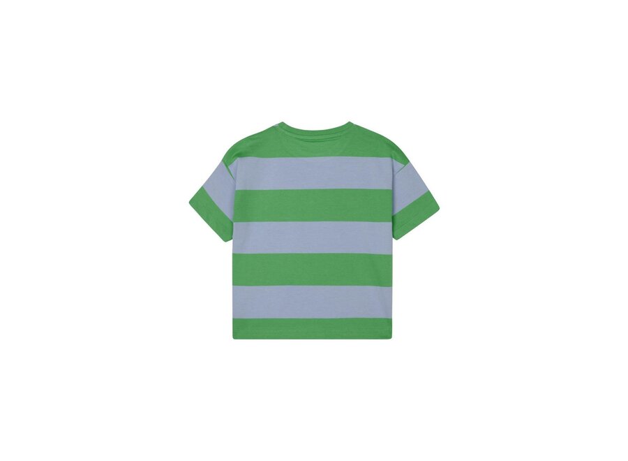 Jongens Tshirt Larkfield