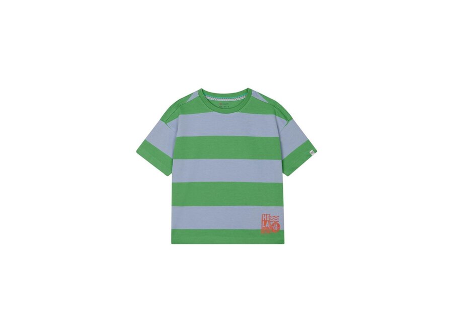 Jongens Tshirt Larkfield