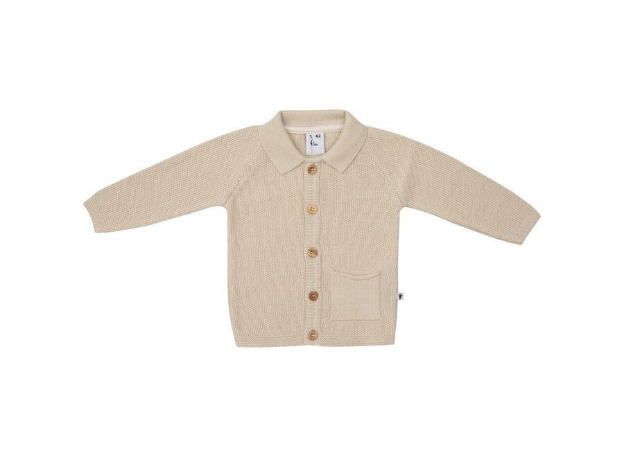 Cardigan Polo Knit, Peyote