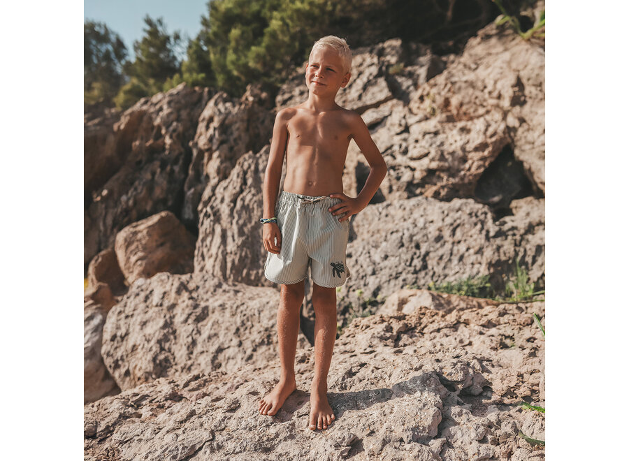 Seersucker | Swim Short